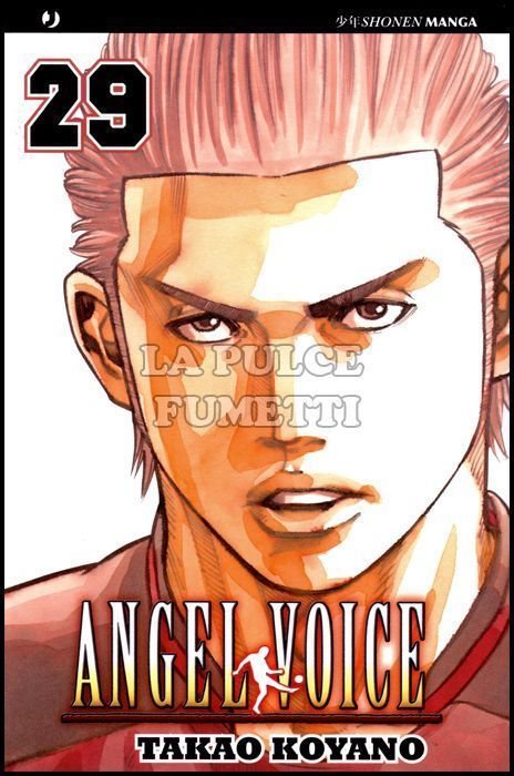 ANGEL VOICE #    29